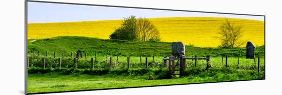 Natural Meadow Landscape and Abstract of Stones - Pewsey - Wiltshire - UK - England-Philippe Hugonnard-Mounted Photographic Print
