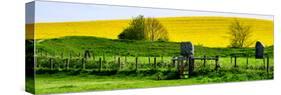 Natural Meadow Landscape and Abstract of Stones - Pewsey - Wiltshire - UK - England-Philippe Hugonnard-Stretched Canvas