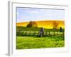 Natural Meadow Landscape and Abstract of Stones - Pewsey - Wiltshire - UK - England-Philippe Hugonnard-Framed Photographic Print