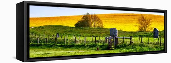 Natural Meadow Landscape and Abstract of Stones - Pewsey - Wiltshire - UK - England-Philippe Hugonnard-Framed Stretched Canvas