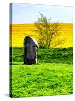 Natural Meadow Landscape and Abstract of Stones - Pewsey - Wiltshire - UK - England-Philippe Hugonnard-Stretched Canvas