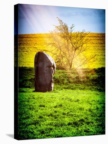 Natural Meadow Landscape and Abstract of Stones - Pewsey - Wiltshire - UK - England-Philippe Hugonnard-Stretched Canvas