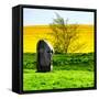 Natural Meadow Landscape and Abstract of Stones - Pewsey - Wiltshire - UK - England-Philippe Hugonnard-Framed Stretched Canvas