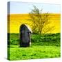 Natural Meadow Landscape and Abstract of Stones - Pewsey - Wiltshire - UK - England-Philippe Hugonnard-Stretched Canvas