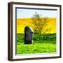 Natural Meadow Landscape and Abstract of Stones - Pewsey - Wiltshire - UK - England-Philippe Hugonnard-Framed Photographic Print