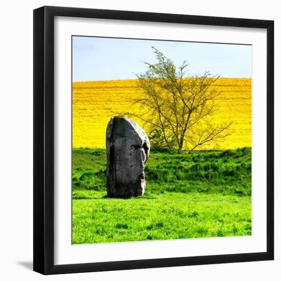 Natural Meadow Landscape and Abstract of Stones - Pewsey - Wiltshire - UK - England-Philippe Hugonnard-Framed Photographic Print