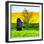 Natural Meadow Landscape and Abstract of Stones - Pewsey - Wiltshire - UK - England-Philippe Hugonnard-Framed Photographic Print