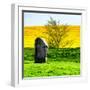 Natural Meadow Landscape and Abstract of Stones - Pewsey - Wiltshire - UK - England-Philippe Hugonnard-Framed Photographic Print