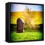 Natural Meadow Landscape and Abstract of Stones - Pewsey - Wiltshire - UK - England-Philippe Hugonnard-Framed Stretched Canvas