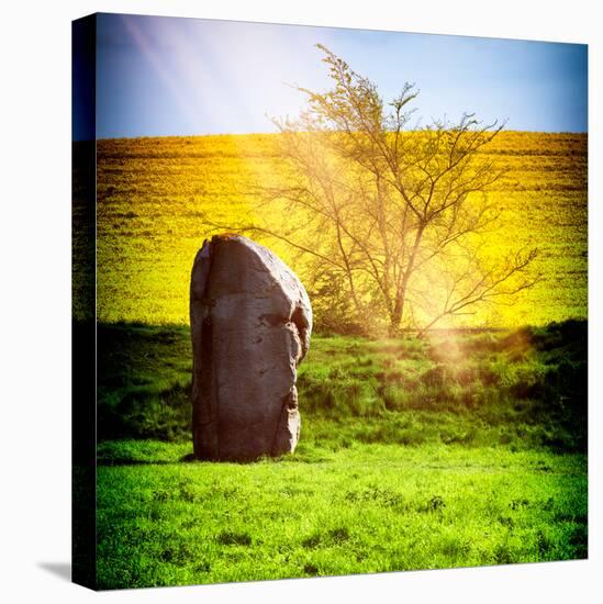 Natural Meadow Landscape and Abstract of Stones - Pewsey - Wiltshire - UK - England-Philippe Hugonnard-Stretched Canvas