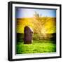 Natural Meadow Landscape and Abstract of Stones - Pewsey - Wiltshire - UK - England-Philippe Hugonnard-Framed Photographic Print