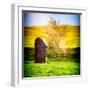 Natural Meadow Landscape and Abstract of Stones - Pewsey - Wiltshire - UK - England-Philippe Hugonnard-Framed Photographic Print