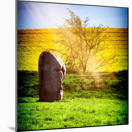 Natural Meadow Landscape and Abstract of Stones - Pewsey - Wiltshire - UK - England-Philippe Hugonnard-Mounted Photographic Print