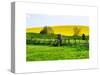 Natural Meadow Landscape and Abstract of Stones - Pewsey - Wiltshire - UK - England-Philippe Hugonnard-Stretched Canvas