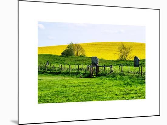 Natural Meadow Landscape and Abstract of Stones - Pewsey - Wiltshire - UK - England-Philippe Hugonnard-Mounted Art Print