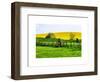 Natural Meadow Landscape and Abstract of Stones - Pewsey - Wiltshire - UK - England-Philippe Hugonnard-Framed Art Print