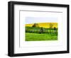 Natural Meadow Landscape and Abstract of Stones - Pewsey - Wiltshire - UK - England-Philippe Hugonnard-Framed Art Print