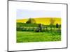 Natural Meadow Landscape and Abstract of Stones - Pewsey - Wiltshire - UK - England-Philippe Hugonnard-Mounted Art Print