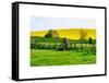 Natural Meadow Landscape and Abstract of Stones - Pewsey - Wiltshire - UK - England-Philippe Hugonnard-Framed Stretched Canvas