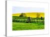 Natural Meadow Landscape and Abstract of Stones - Pewsey - Wiltshire - UK - England-Philippe Hugonnard-Stretched Canvas