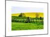 Natural Meadow Landscape and Abstract of Stones - Pewsey - Wiltshire - UK - England-Philippe Hugonnard-Mounted Art Print