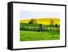 Natural Meadow Landscape and Abstract of Stones - Pewsey - Wiltshire - UK - England-Philippe Hugonnard-Framed Stretched Canvas