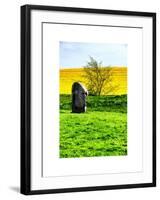 Natural Meadow Landscape and Abstract of Stones - Pewsey - Wiltshire - UK - England-Philippe Hugonnard-Framed Art Print