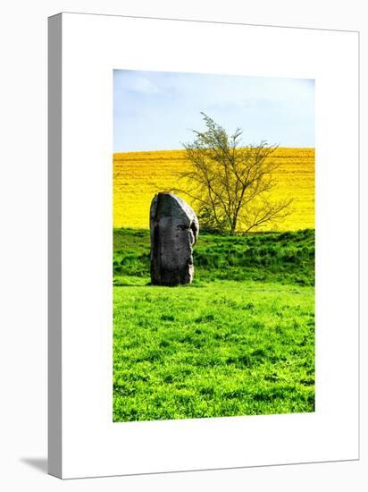 Natural Meadow Landscape and Abstract of Stones - Pewsey - Wiltshire - UK - England-Philippe Hugonnard-Stretched Canvas