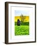 Natural Meadow Landscape and Abstract of Stones - Pewsey - Wiltshire - UK - England-Philippe Hugonnard-Framed Art Print