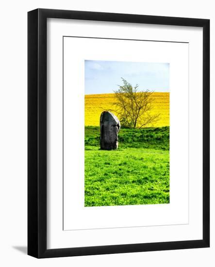 Natural Meadow Landscape and Abstract of Stones - Pewsey - Wiltshire - UK - England-Philippe Hugonnard-Framed Art Print