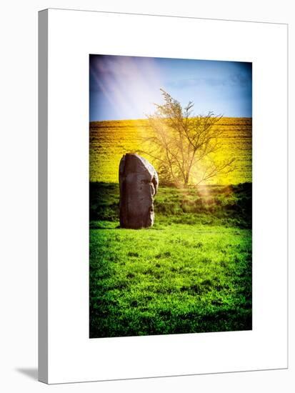 Natural Meadow Landscape and Abstract of Stones - Pewsey - Wiltshire - UK - England-Philippe Hugonnard-Stretched Canvas