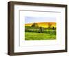 Natural Meadow Landscape and Abstract of Stones - Pewsey - Wiltshire - UK - England-Philippe Hugonnard-Framed Art Print