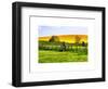 Natural Meadow Landscape and Abstract of Stones - Pewsey - Wiltshire - UK - England-Philippe Hugonnard-Framed Art Print