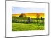 Natural Meadow Landscape and Abstract of Stones - Pewsey - Wiltshire - UK - England-Philippe Hugonnard-Mounted Art Print