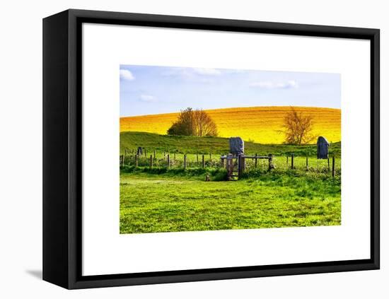 Natural Meadow Landscape and Abstract of Stones - Pewsey - Wiltshire - UK - England-Philippe Hugonnard-Framed Stretched Canvas