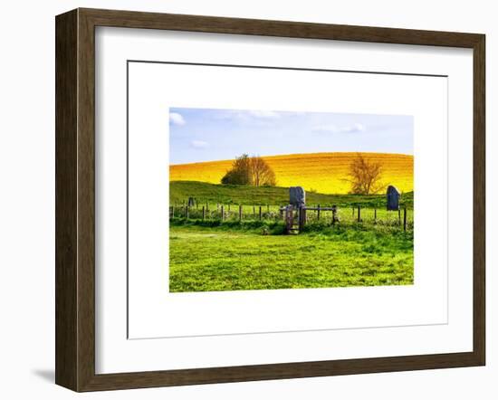 Natural Meadow Landscape and Abstract of Stones - Pewsey - Wiltshire - UK - England-Philippe Hugonnard-Framed Art Print