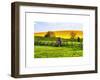 Natural Meadow Landscape and Abstract of Stones - Pewsey - Wiltshire - UK - England-Philippe Hugonnard-Framed Art Print