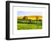 Natural Meadow Landscape and Abstract of Stones - Pewsey - Wiltshire - UK - England-Philippe Hugonnard-Framed Art Print