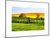 Natural Meadow Landscape and Abstract of Stones - Pewsey - Wiltshire - UK - England-Philippe Hugonnard-Mounted Art Print