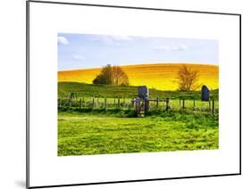 Natural Meadow Landscape and Abstract of Stones - Pewsey - Wiltshire - UK - England-Philippe Hugonnard-Mounted Art Print