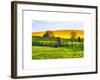 Natural Meadow Landscape and Abstract of Stones - Pewsey - Wiltshire - UK - England-Philippe Hugonnard-Framed Art Print