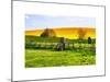 Natural Meadow Landscape and Abstract of Stones - Pewsey - Wiltshire - UK - England-Philippe Hugonnard-Mounted Art Print