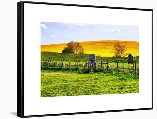Natural Meadow Landscape and Abstract of Stones - Pewsey - Wiltshire - UK - England-Philippe Hugonnard-Framed Stretched Canvas