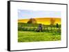 Natural Meadow Landscape and Abstract of Stones - Pewsey - Wiltshire - UK - England-Philippe Hugonnard-Framed Stretched Canvas