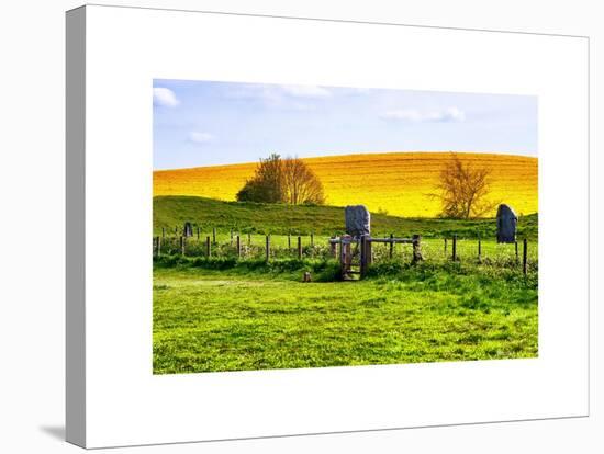 Natural Meadow Landscape and Abstract of Stones - Pewsey - Wiltshire - UK - England-Philippe Hugonnard-Stretched Canvas