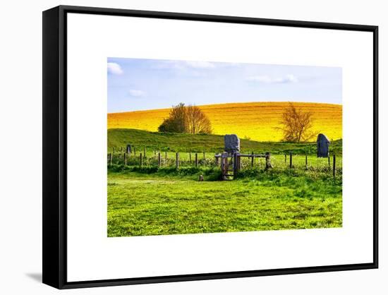 Natural Meadow Landscape and Abstract of Stones - Pewsey - Wiltshire - UK - England-Philippe Hugonnard-Framed Stretched Canvas