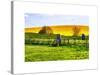 Natural Meadow Landscape and Abstract of Stones - Pewsey - Wiltshire - UK - England-Philippe Hugonnard-Stretched Canvas