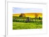 Natural Meadow Landscape and Abstract of Stones - Pewsey - Wiltshire - UK - England-Philippe Hugonnard-Framed Art Print