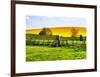 Natural Meadow Landscape and Abstract of Stones - Pewsey - Wiltshire - UK - England-Philippe Hugonnard-Framed Art Print