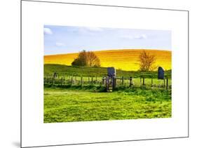 Natural Meadow Landscape and Abstract of Stones - Pewsey - Wiltshire - UK - England-Philippe Hugonnard-Mounted Art Print